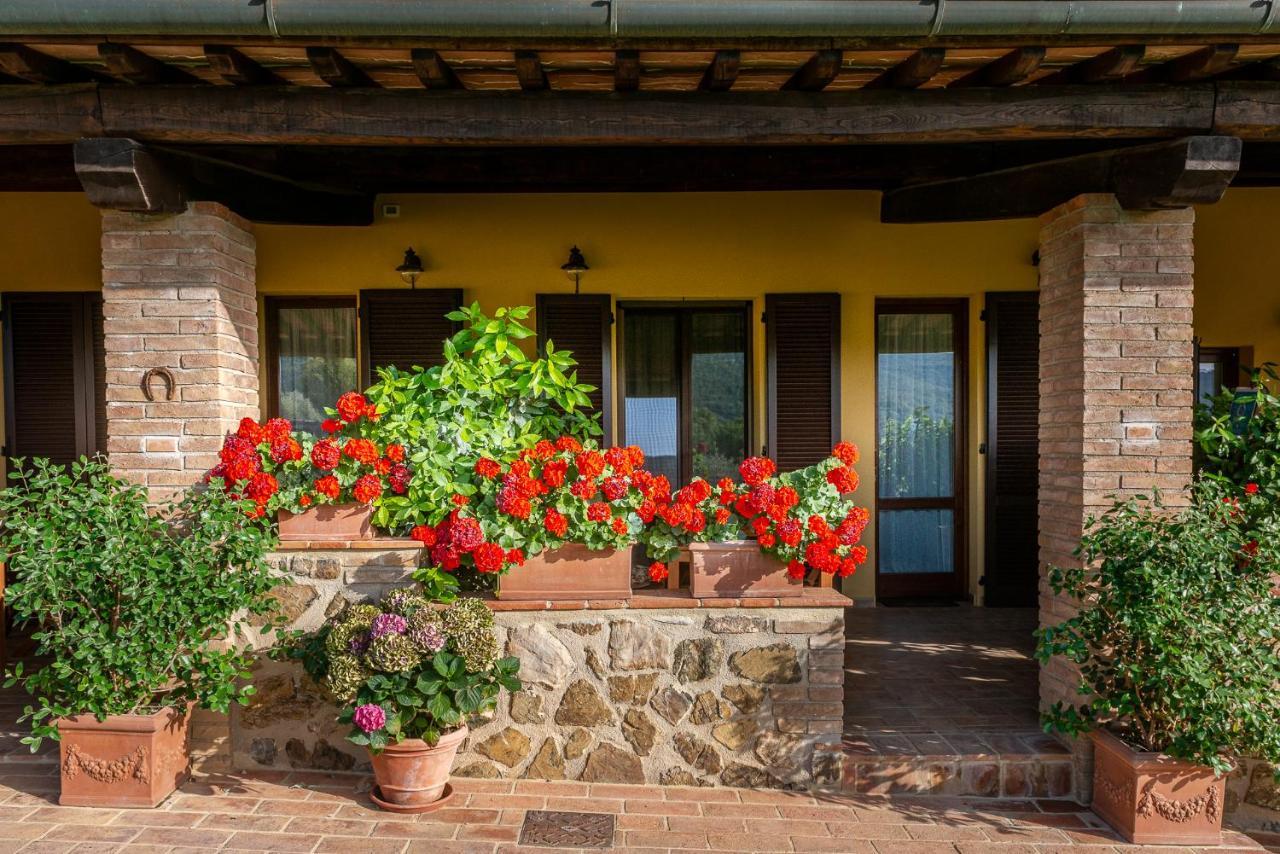 Podere Vecchia Commenda * Massa Marittima
