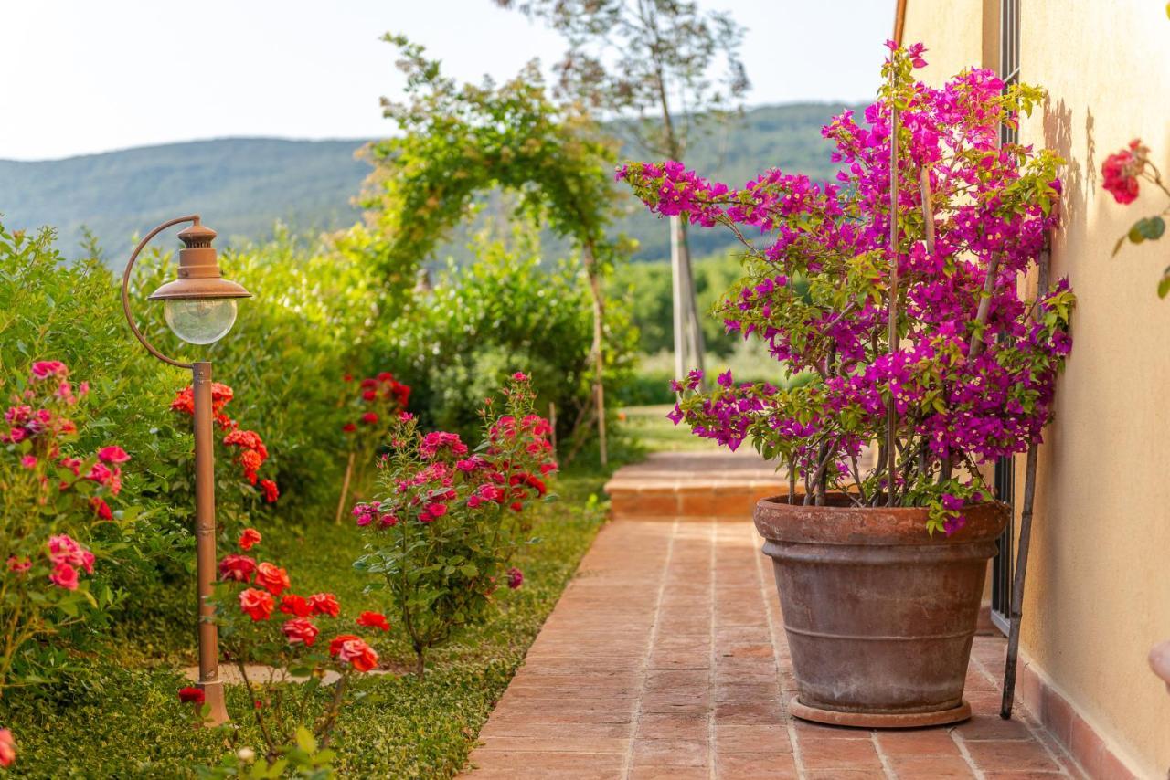 Holiday home Podere Vecchia Commenda Massa Marittima